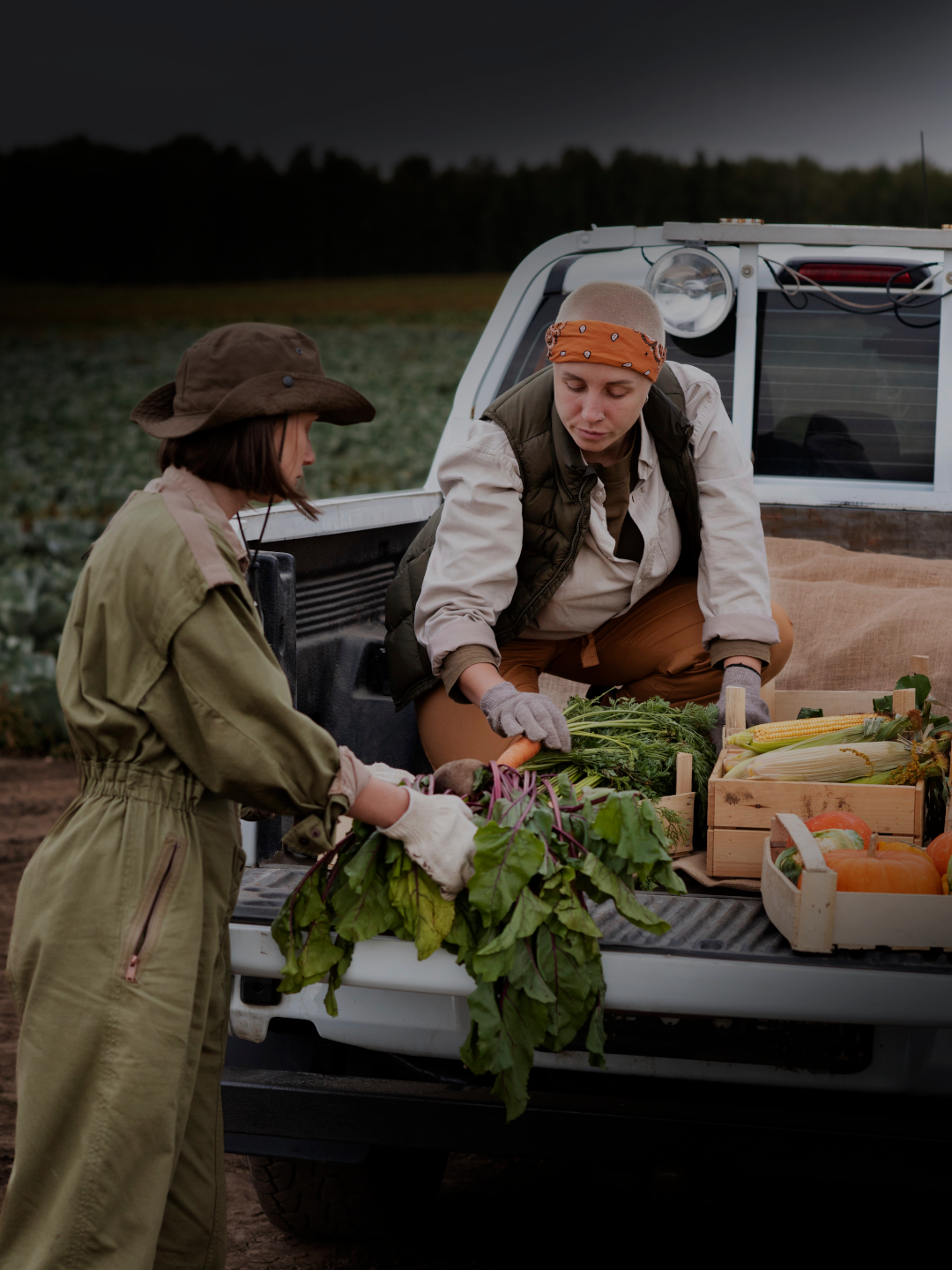 Banner para saber mais sobre carros renault do tipo PRODUTOR RURAL